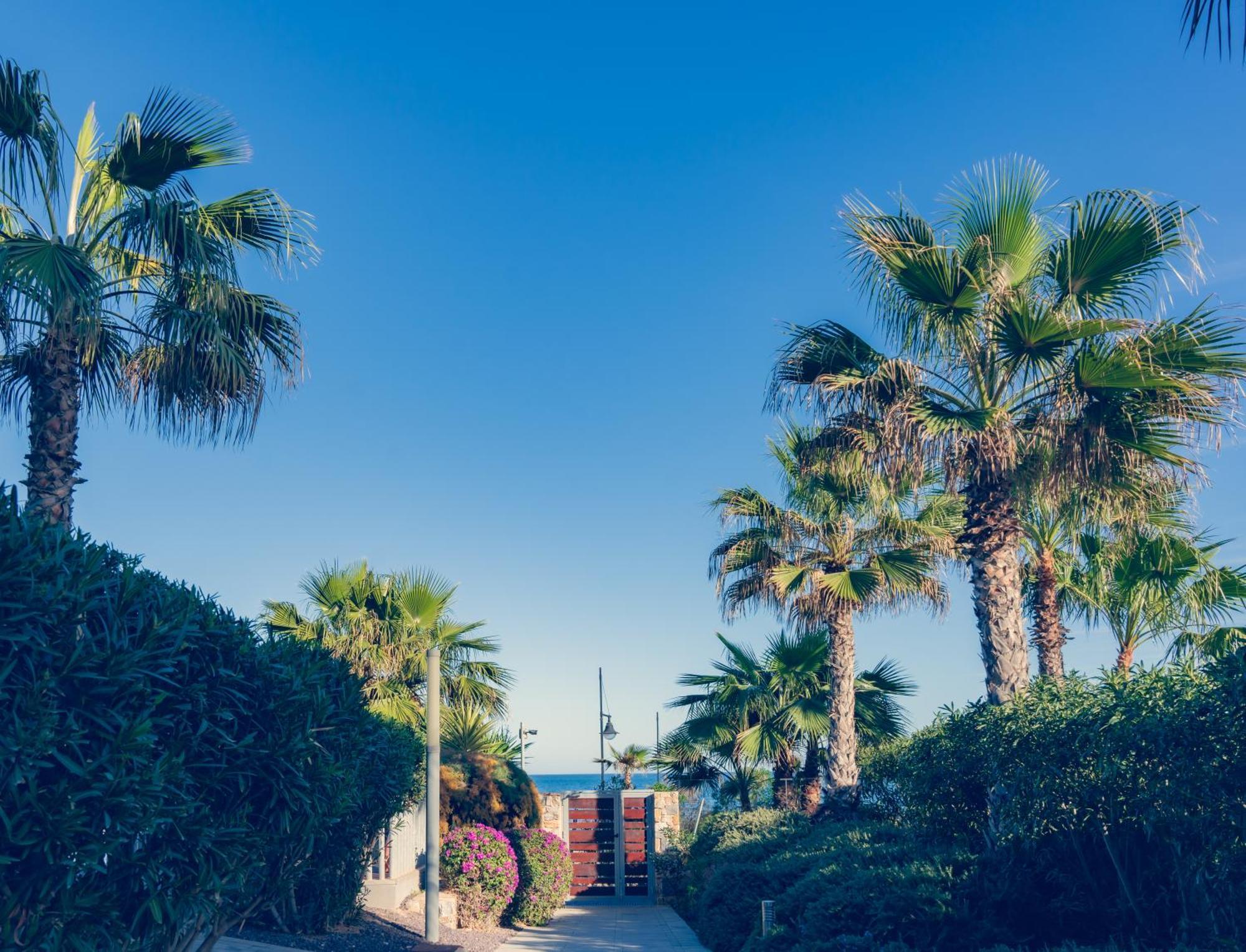 Espectacular apartamento en primera linea de mar Torrevieja Exterior foto